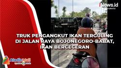 Truk Pengangkut Ikan Terguling di Jalan Raya Bojonegoro-Babat, Ikan Berceceran