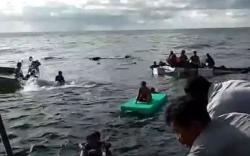 KM Sarijaya Tenggelam di Konawe Selatan, 15 ABK 4 Jam Terapung di Laut