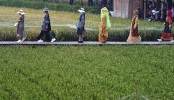 Peragaan Busana di Tengah Sawah Karya Desainer Kota Bogor