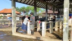 Bali Lockdown Pasar Hewan, Pengiriman Sapi Disetop Cegah Penyebaran PMK<