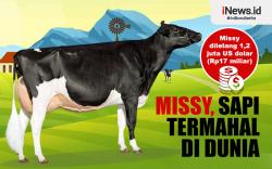 Infografis Sapi Termahal di Dunia