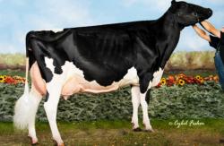 Ini Sapi Termahal di Dunia, Harganya Capai Rp17 Miliar<