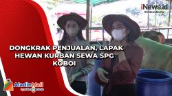 Dongkrak Penjualan, Lapak Hewan Kurban Sewa SPG Koboi