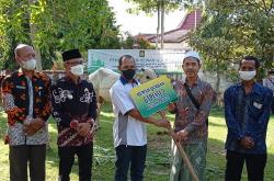 Pemkab Kulonprogo Distribusikan 25 Hewan Kurban ke Masyarakat