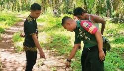 Jejak dan Auman Harimau Gemparkan Warga Solok, BKSDA Turunkan Tim