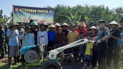 Kodim Kendal dan Warga Sulap Lahan Tidur di Asrama Eks Yonif 408 jadi Produktif