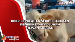 KPKP Kepulauan Seribu Lakukan Pemeriksaan Puluhan Hewan Kurban