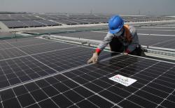 KALBE Nutritionals bersama Aruna PV dan BNI Kurangi Karbon 2.104 Ton per Tahun