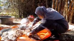 369,65 Kg Jeroan Sapi dan Kambing Kurban di Kota Bandung Dimusnahkan, Ini Penyebabnya<