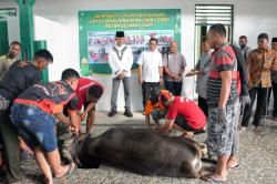  Danrem 172/PWY Serahkan Hewan Kurban di Masjid Ridho Allah 
