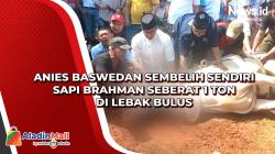 Anies Baswedan Sembelih Sendiri Sapi Brahman Seberat 1 Ton di Lebak Bulus