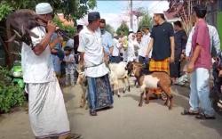 Unik, Hewan Kurban di Kota Ini Diarak Keliling Kampung Sambil Dilantunkan Salawat<