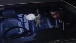 Teror Pelemparan Batu di Jalan Lingkar Timur Cianjur, 2 Sopir Luka-Luka