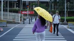 Jadi Andalan Segala Musim, Ini 3 Hal yang Harus Diperhatikan Ketika Memilih Payung