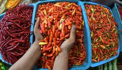 Harga Komoditas di Pasar Sindangkasih Majalengka Turun, kecuali Cabai Rawit Merah<
