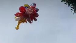 Viral, Pedagang Balon Keliling di Alun-alun Garut Gemetar Usai Dagangannya Terbang<