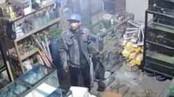 2 Pencuri Gasak Burung Kontes dan Perhiasan di Cirebon, Aksinya Terekam CCTV