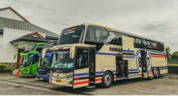 Perbedaan Bus Ekonomi, Patas, Eksekutif dan Sleeper, Ini yang Ada Layanan Pramugarinya
