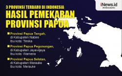 Infografis 3 Provinsi Terbaru Hasil Pemekaran Papua