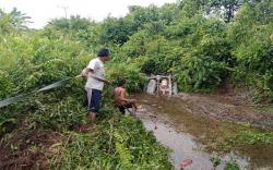 Laka Maut di Pulang Pisau, Kepala Kanwil Kemenag Kaltim dan 5 Keluarganya Meninggal<