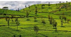 4 Wisata di Bandung yang Masih Alami dengan Pemandangan Indah, Pernah Singgah?