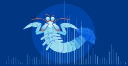 Mantis, Botnet Kecil di Balik Serangan DDoS Terbesar