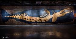 Mengenal 8 Museum di Taiwan yang Wajib Dikunjungi Pencinta Sejarah!