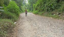 Perjuangan Pelajar SMPN 2 Gegerbitung Sukabumi, ke Sekolah Jalan Kaki Lewat Hutan<