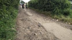 Panen Tak Laku akibat Jalan Rusak, Petani Sayuran di Kaki Gunung Burangrang KBB Menjerit<