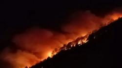 Padamkan Karhutla di Tapanuli Utara, Seorang Warga Tewas Terjebak Kobaran Api<