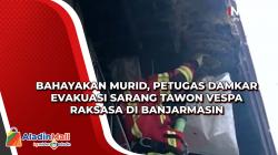 Bahayakan Murid, Petugas Damkar Evakuasi Sarang Tawon Vespa Raksasa di Banjarmasin
