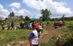 Habitat Terkikis, Gajah Liar Kelaparan Mengamuk di Lahan HTI, 1 Warga Tewas Terinjak