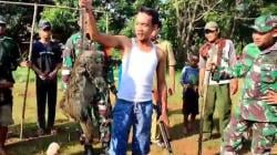 Heboh Monyet Liar yang Serang Bocah 4 Tahun di Mundu Cirebon Ditembak Mati 