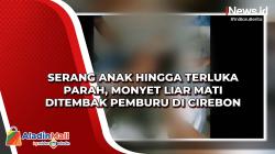 Serang Anak hingga Terluka Parah, Monyet Liar Mati Ditembak Pemburu di Cirebon