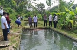 Sleman Andalkan Teknologi Sibudidikucir untuk Budi Daya Ikan