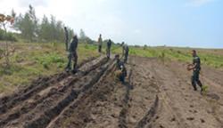 Antisipasi Krisis Pangan, Kodam IV/Diponegoro Sulap Lahan Tidur jadi Produktif