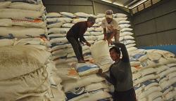 Stok Cadangan Beras Pemerintah Menipis, Bulog Beberkan Penyebabnya