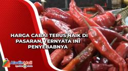 Harga Cabai Terus Naik di Pasaran, Ternyata Ini Penyebabnya