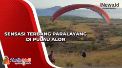 Sensasi Terbang Paralayang di Pulau Alor