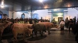 Kisah Kerbau Bule Keraton Solo, Konon sebagai Pengawal Pusaka Kiai Slamet