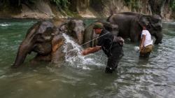 6 Surga Tersembunyi di Tangkahan Sumut, Nomor 4 Bisa Bikin Kamu Tegang