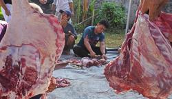 Kalbe Berikan Tips Menghindari Kolesterol Tinggi, Ini Caranya