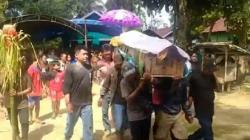 Pria di Katingan Tewas Diserang Gerombolan Tawon, Kondisinya Mengenaskan