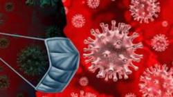 Kasus Covid-19 di Sulawesi Utara Bertambah 44 dalam Sepekan