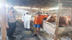 Cegah PMK, Polres Sukoharjo Semprot Peternakan Warga dengan Disinfektan