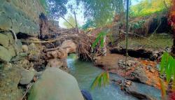 5 Bendungan di Bojongsawah Sukabumi Jebol, 100 Hektare Sawah Terancam Gagal Panen<