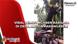 Viral Lembu Ngaben Raksasa di Desa Antiga Karangasem