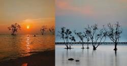 Terpikat Keindahan Pantai Sebalang di Lampung Selatan, Ada Pemandangan Mangrove yang Eksotis