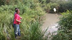 Bikin Geger, Buaya 2 Meter Masuk Kolam Warga di Bintan