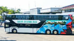 Tampilan Bus Panoramic Roof milik PO Safari Dharma Raya, Tampil Premium seperti Bus Eropa